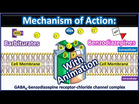 Barbiturates and  Benzodiazepines Mechanism of action with animation