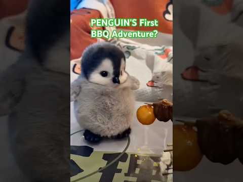 PENGUIN'S First BBQ Adventure? #funny #penguin #shortsfeed #youtubeshorts #shorts #animals