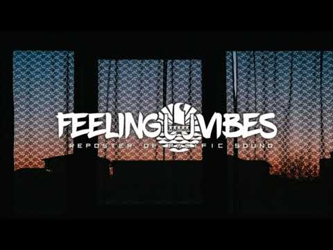 Patchitchi (HM987 ft King Papen's & HiO 17.5) 2021