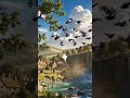 9 Seconds Of Pure Nature Therapy Feed Ytshorts Yt Youtubeshorts