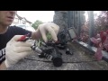 Petrol Injectors Test Replacment Peugeot Citroen 1 1 1 4 1 6