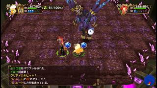 【switch2 live 113】チョコボの不思議なダンジョン エブリバディ