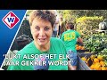 Pompoenen vliegen de voortuin uit