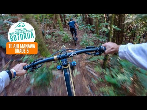 Any one ask for an airport transfer? Airport to Te Ahi Manawa - Rotorua