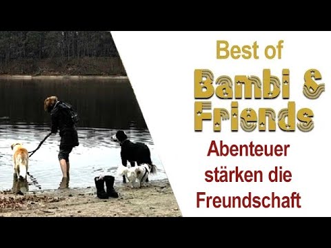 Abenteuer stärken die Freundschaft - Best of Bambi and Friends