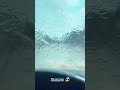 Mahindra Scorpio Whatsapp Status Video Rain Off Roading Mahindrascorpio ️