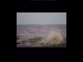 LAKE MONSTER!! spotted in lake harney Florida