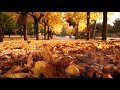 Mujhe Khabar Thi Wo Mera Nahi Lyrics Lata Mangeshkar Awesome Song