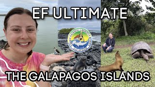 THE GALAPAGOS ISLANDS with EF ULTIMATE BREAK