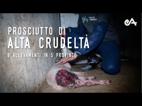 Ci sono vermi farà entrare il campo Verme alla persona del nome