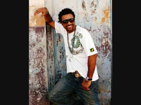 Shaggy - Leave It To Me (ft. Brian & Tony Gold)