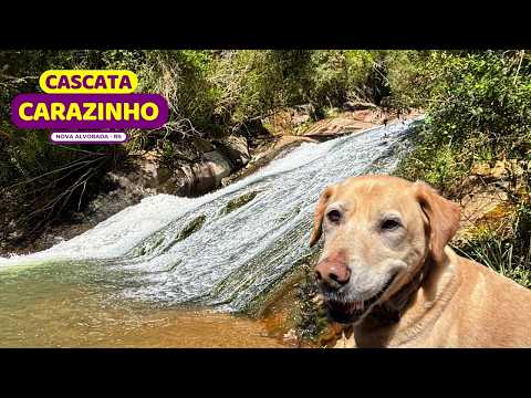 😱 ATENÇÃO!!! CUIDADO com o GPS na Cascata Carazinho | Nova Alvorada | Cachoeira do Carazinho