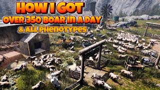 Icarus Spam Breeding: 350 Boar in a Day + 150 Wolves Trapped – All Phenotypes