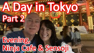 A Day in Tokyo Japan Part 2 - Evening, Ninja Cafe and Sensoji (Senso-Ji) Temple. Pre Cruise Option