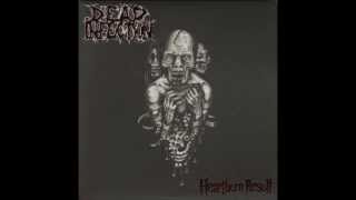 Dead Infection - So Many Legs Were Broken Today