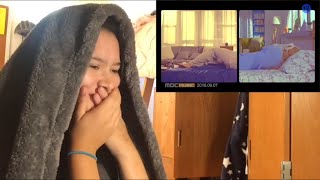 마마무 (MAMAMOO) - NEW YORK MV REACTION