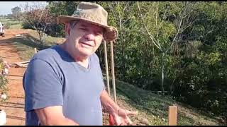 Conheça a planta mais bonita da Mata Atlântica