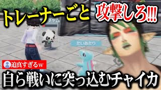 【Pokémon LEGENDS】開幕からひたすら迫真のポケモンバトルを繰り広げるチャイカ【にじさんじ】