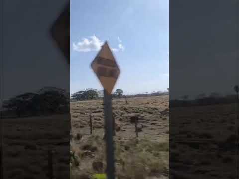 ruta bijagua de upala a cañas Guanacaste Costa Rica