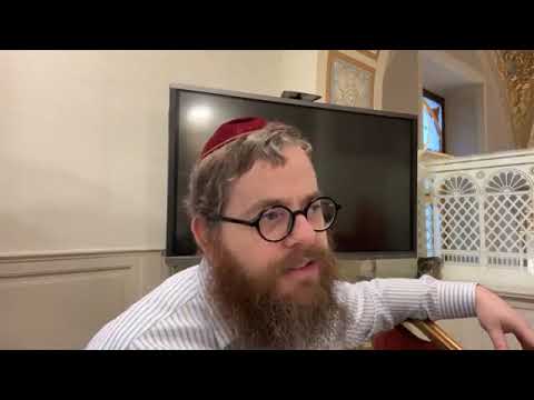 Bává Kámá 29 – Napi Talmud 1425
