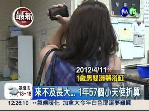 來不及長大! 1年57條小生命枉死