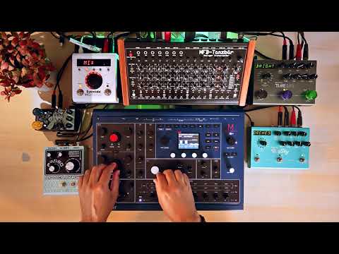 070▶️ Wavocalypse (Waldorf M + Apocalypse + Julianna; H9; Strymon Timeline; Bigsky // MFB Tanzbar)