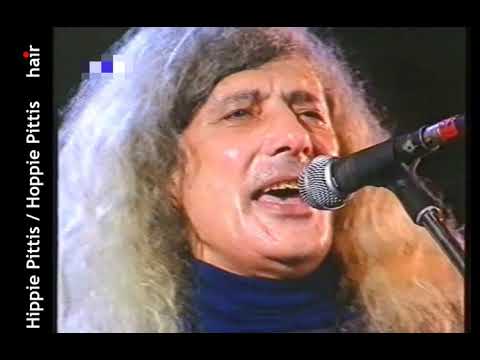 Florian Pittis  - Vinovatii fara Vina - 1999 - Pasarea Colibri