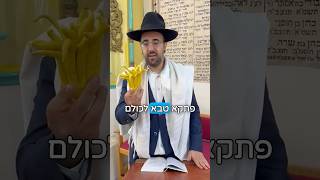 הרב מאיר אליהו | ברכה להושענא רבא 😇 #חגשמח #חזרהבתשובה #הרב_מאיר_אליהו (הרב מאיר אליהו) - התמונה מוצגת ישירות מתוך אתר האינטרנט יוטיוב. זכויות היוצרים בתמונה שייכות ליוצרה. קישור קרדיט למקור התוכן נמצא בתוך דף הסרטון