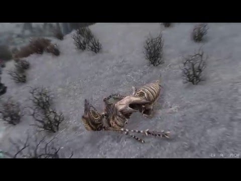 Let's Play Skyrim Teil 294 - Ein mörderischer Spass...1080p (German/Deutsch)