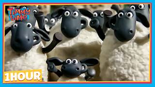 FUN TIME ON THE FARM! | Timmy & Friends