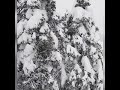 Snow In Turkey