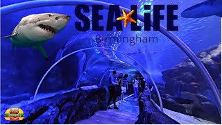 National Sea Life Centre Birmingham - Includes UKs only 360 Degree Ocean Tunnel!
