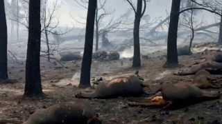 preview picture of video 'campaña de incendio forestal buena fe 2014 hd'