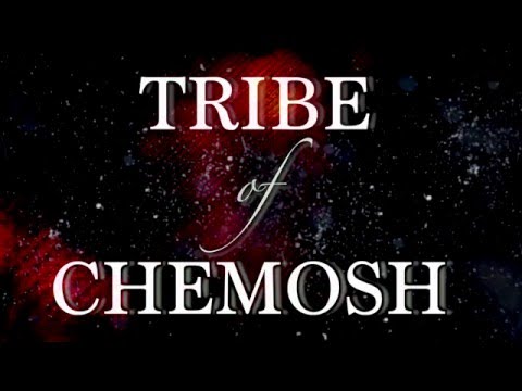 Dawn of Ashes - Tribe of Chemosh (OFFICIAL LYRIC VIDEO)