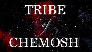 Dawn of Ashes - Tribe of Chemosh (OFFICIAL LYRIC VIDEO)