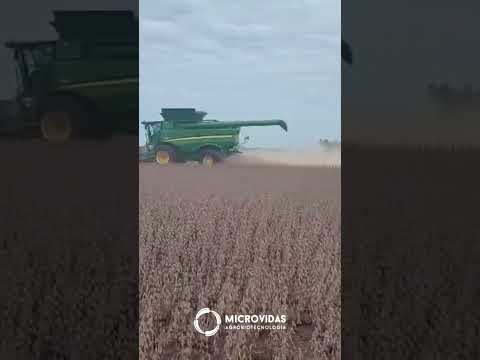 Días que definen el resultado de todo el ciclo.