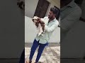 Dog Sattur Reels Viral Youtubeshorts Youtubechannel 2022 Instagram Satturecipe Trending