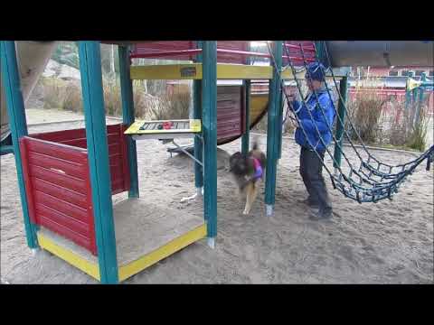 Segerforsens Just Look at Me "Florida" NW träning Tungelsta