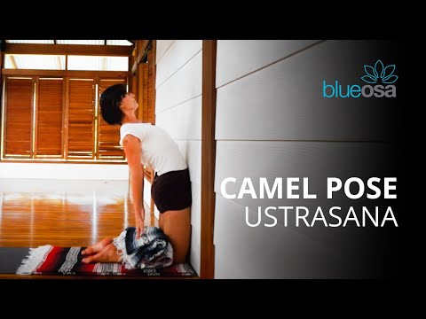 Camel Pose || Ustrasana