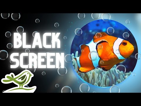 [NO ADS] A Normal Day | Marimba Music for Sleep with Water Sounds by Soothing Night