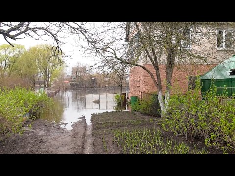 Затяжные дожди продолжаются на Гомельщине. Уровень воды растет с каждым днем видео
