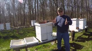 Beekeeping- Overwintering Nucs to Full Size Hives 2018