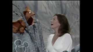 Muppets - Judy Collins - Leatherwing Bat