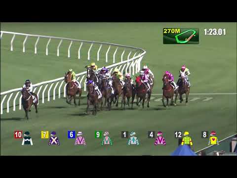 22/12/2021 (271) Happy Jai Jai - J Moreira