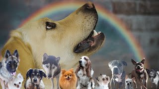 Karolina Kidoń Za Tęczowym Mostem (Radio Edit)