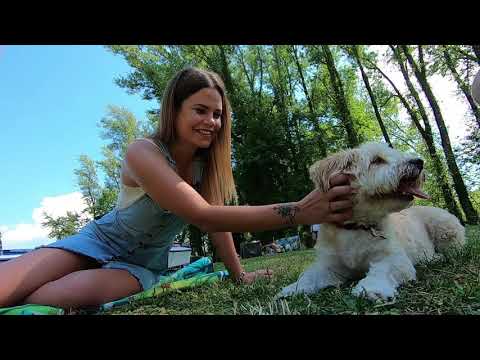 Balatoni 5letek - Kutyával a Balatonnál