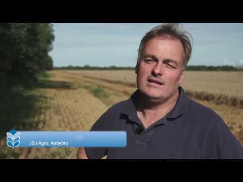 DANCORN Silo, Lagersilos & Trockner -- Birkelse Gods - Deutche Sprache