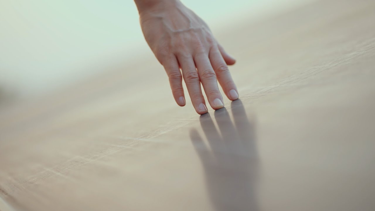 Descripción del Video