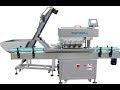 Fast Speed Cap Tighening Machine With Elevator