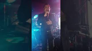 Hay chihuahua chihuahua kerido